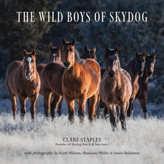 Cover image for 9781646012763 - The Wild Boys of Skydog