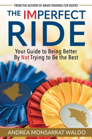 Cover image for 9781646012794 - The Imperfect Ride