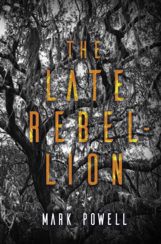 Cover image for 9781646034123 - The Late Rebellion