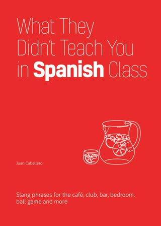 Cover image for 9781646043958 - What They Didn't Teach You In Spanish Class
