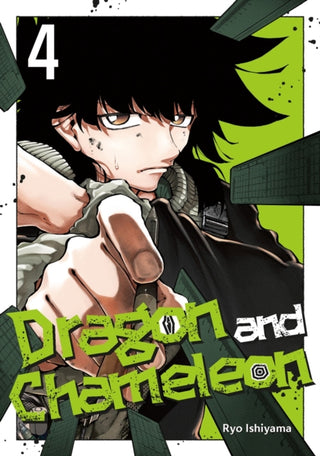 Cover image for 9781646093540 - Dragon and Chameleon 04