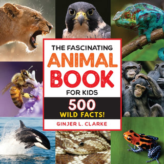Cover image for 9781646111497 - The Fascinating Animal Book for Kids