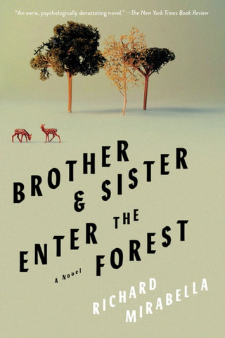 Cover image for 9781646222179 - Brother & Sister Enter the Forest