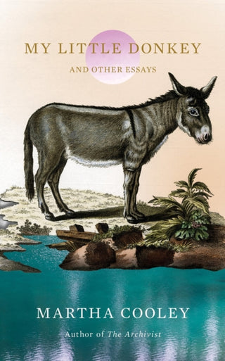 Cover image for 9781646223022 - My Little Donkey