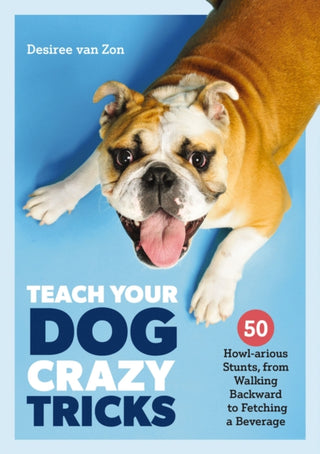 Cover image for 9781646431830 - Teach Your Dog Crazy Tricks