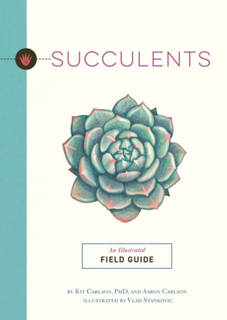 Supplemental image for 9781646434534 - Succulents