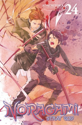 Cover image for 9781646514250 - Noragami: Stray God 24