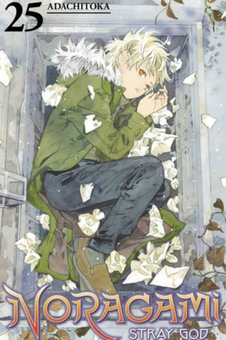 Cover image for 9781646515844 - Noragami: Stray God 25