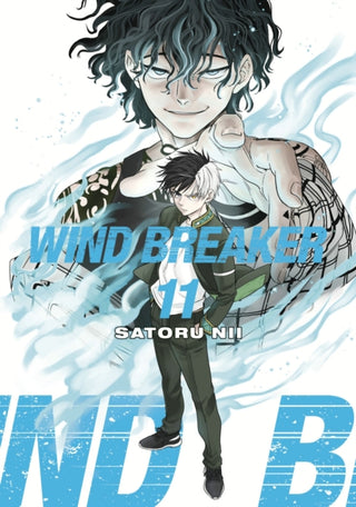 Cover image for 9781646519583 - WIND BREAKER 11