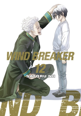 Supplemental image for 9781646519590 - WIND BREAKER 12