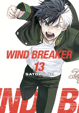 Cover image for 9781646519606 - WIND BREAKER 13