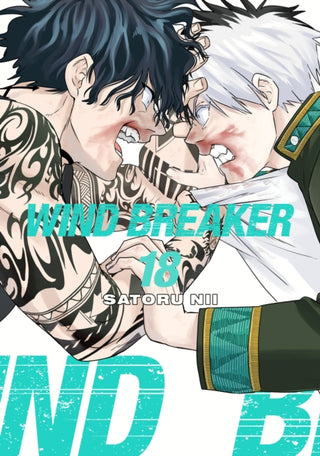 Cover image for 9781646519651 - WIND BREAKER 18
