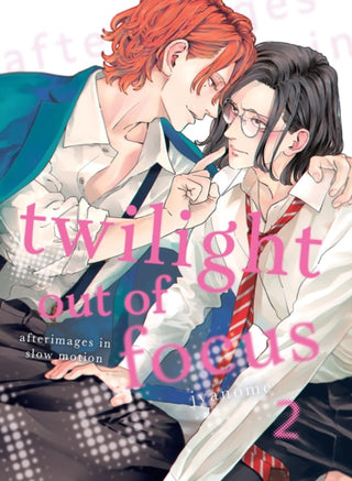 Cover image for 9781647292355 - Twilight Out of Focus 2: Afterimages in Slow Motion