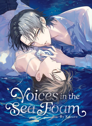 Cover image for 9781647295806 - Voices in the Sea Foam