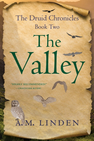 Cover image for 9781647424091 - The Valley