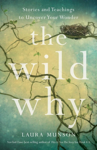 Supplemental image for 9781647428389 - The Wild Why