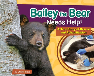 Cover image for 9781647553449 - Bailey the Bear Needs Help!