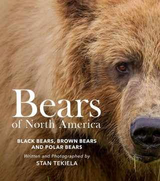 Cover image for 9781647554132 - Bears of North America