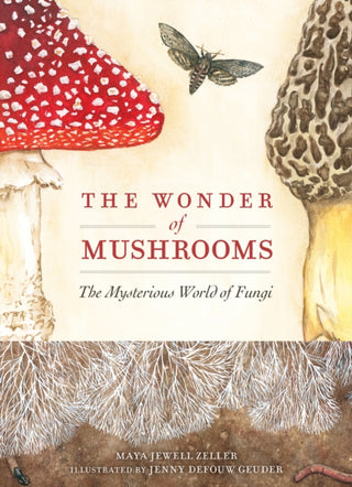 Cover image for 9781647554668 - The Wonder of Mushrooms