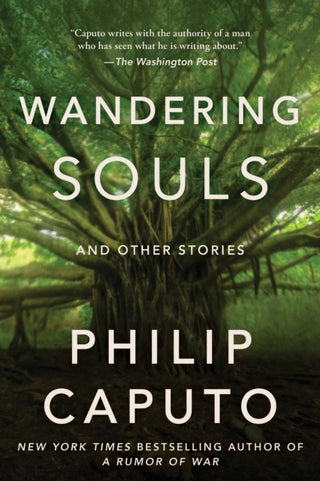 Cover image for 9781648211584 - Wandering Souls