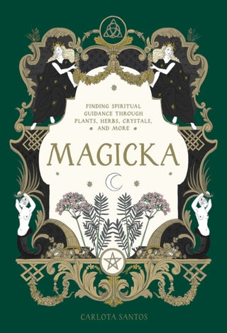 Cover image for 9781648292033 - Magicka