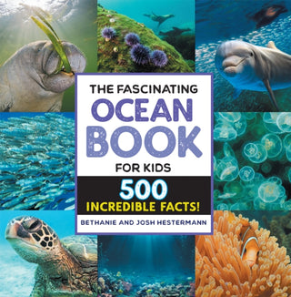Cover image for 9781648768842 - The Fascinating Ocean Book for Kids