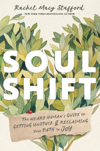 Cover image for 9781649633071 - Soul Shift
