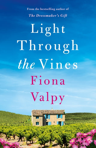 Cover image for 9781662503733 - Light Through the Vines