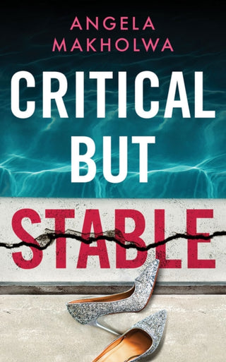 Cover image for 9781662504471 - Critical But Stable
