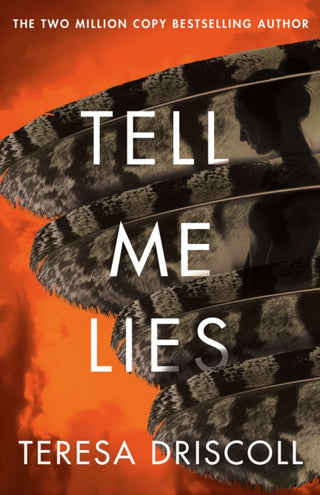 Cover image for 9781662504983 - Tell Me Lies