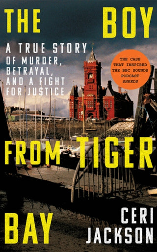 Cover image for 9781662510489 - The Boy from Tiger Bay