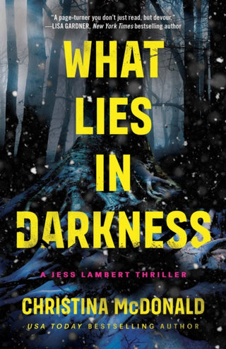 Cover image for 9781662511646 - What Lies in Darkness