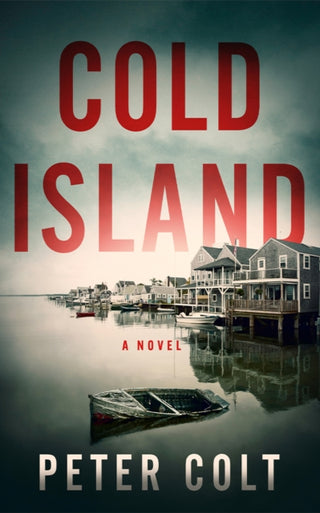 Cover image for 9781662530388 - Cold Island