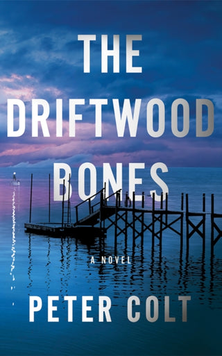 Cover image for 9781662530401 - The Driftwood Bones