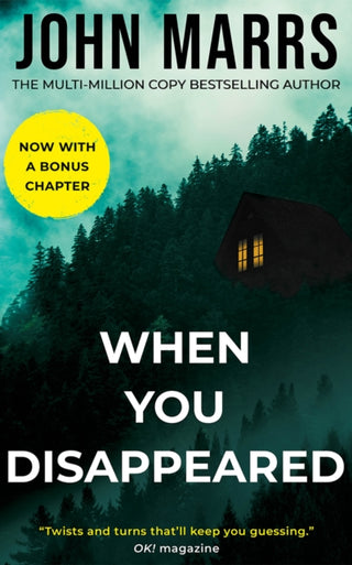 Cover image for 9781662533327 - When You Disappeared