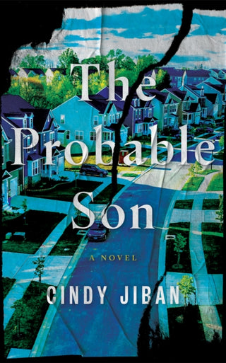 Supplemental image for 9781662533808 - The Probable Son