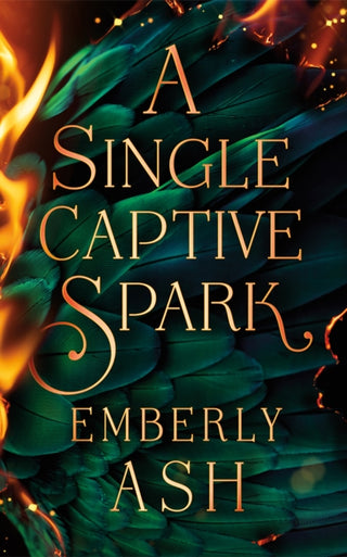 Cover image for 9781662537370 - A Single Captive Spark