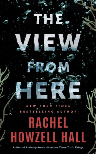 Cover image for 9781662538971 - The View from Here