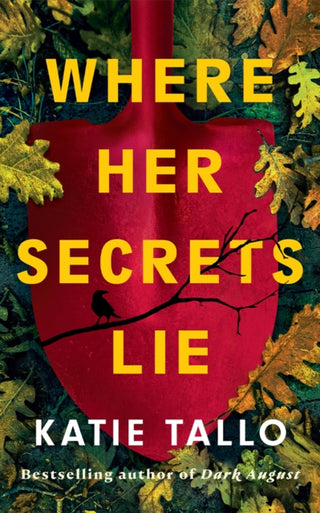 Cover image for 9781662540493 - Where Her Secrets Lie