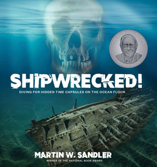 Cover image for 9781662602047 - Shipwrecked!