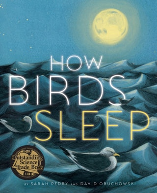 Cover image for 9781662650970 - How Birds Sleep