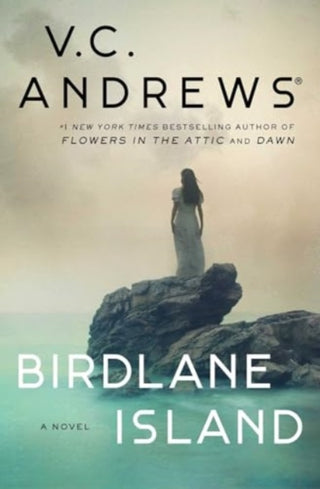 Cover image for 9781668015865 - Birdlane Island