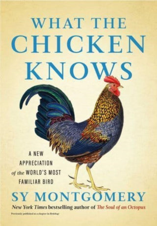 Cover image for 9781668047361 - What the Chicken Knows