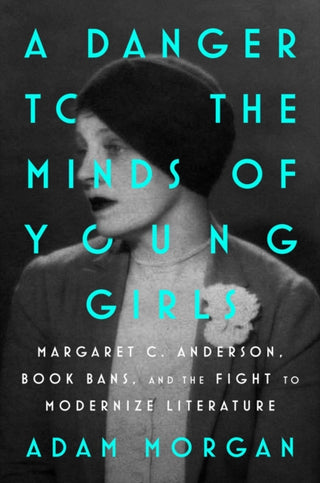 Cover image for 9781668053645 - A Danger to the Minds of Young Girls
