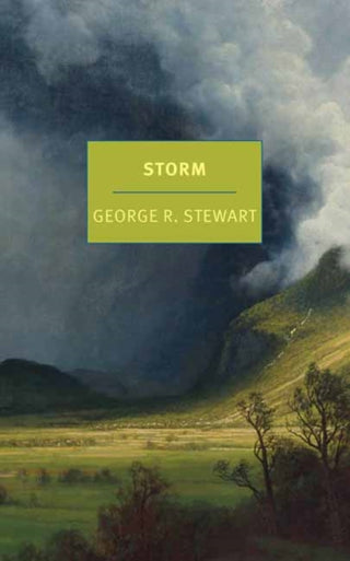 Cover image for 9781681375182 - Storm