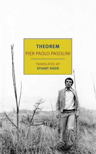 Cover image for 9781681377643 - Theorem