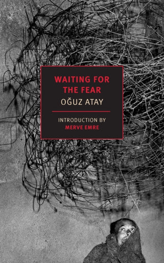 Supplemental image for 9781681377964 - Waiting for the Fear