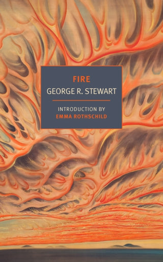 Cover image for 9781681378473 - Fire