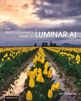 Cover image for 9781681987873 - Photographer's Guide to Luminar AI,The