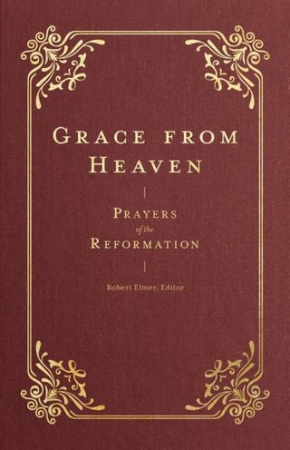 Cover image for 9781683597407 - Grace from Heaven